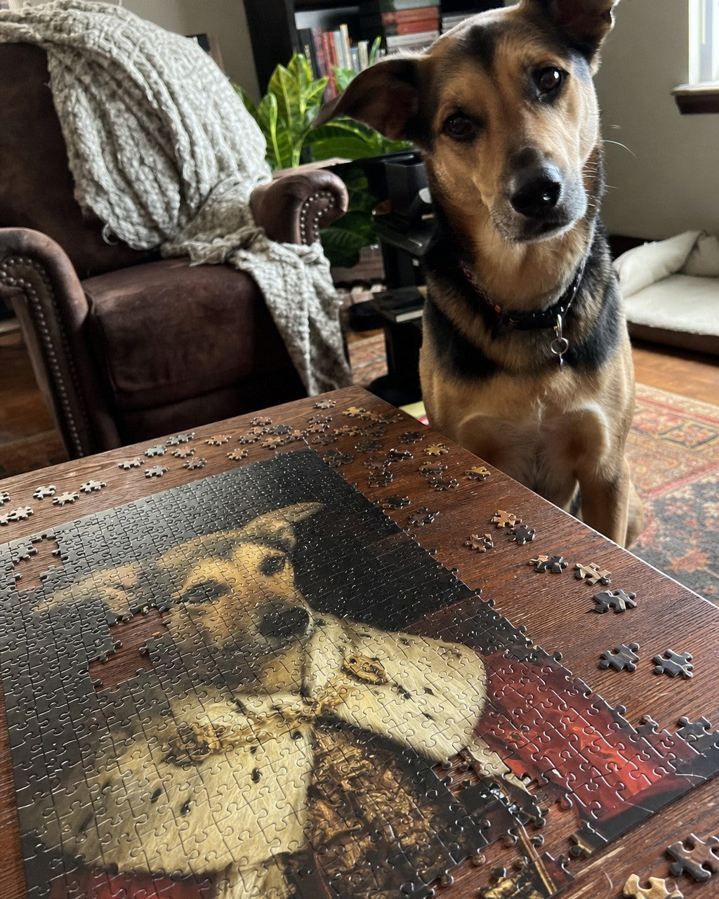 A pet portrait jigsaw puzzle mid-assembly on a coffee table